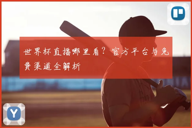 世界杯直播哪里看?官方平台与免费渠道全解析