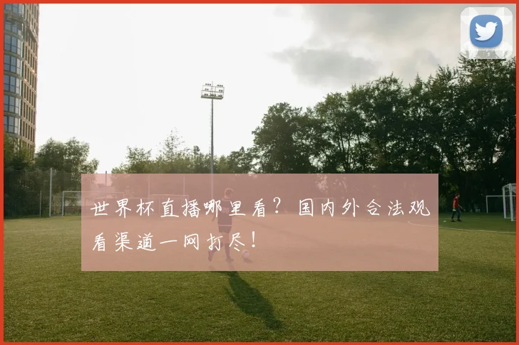 世界杯直播哪里看?国内外合法观看渠道一网打尽!