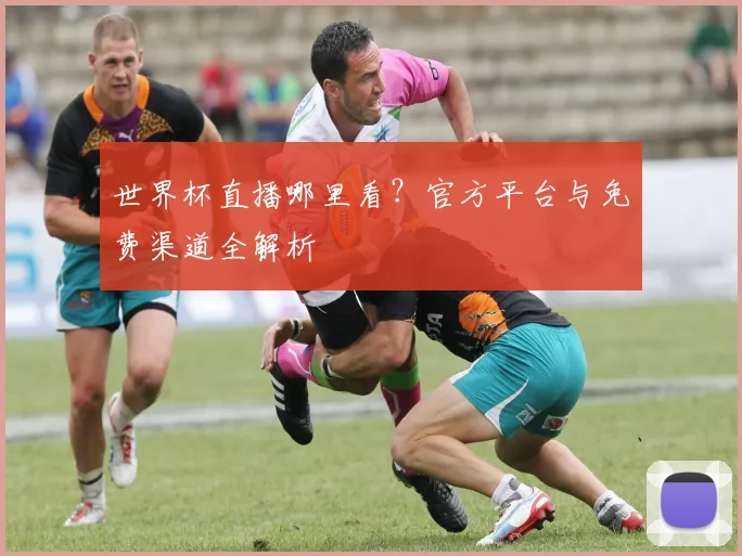 世界杯直播哪里看?官方平台与免费渠道全解析
