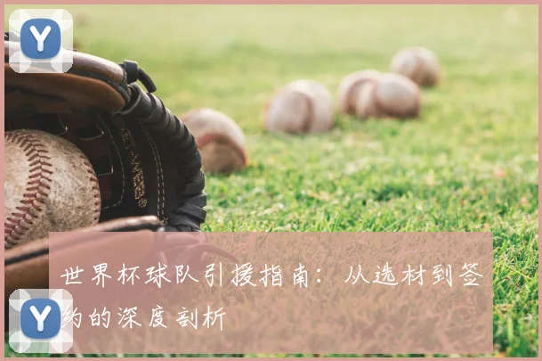 世界杯球队引援指南：从选材到签约的深度剖析