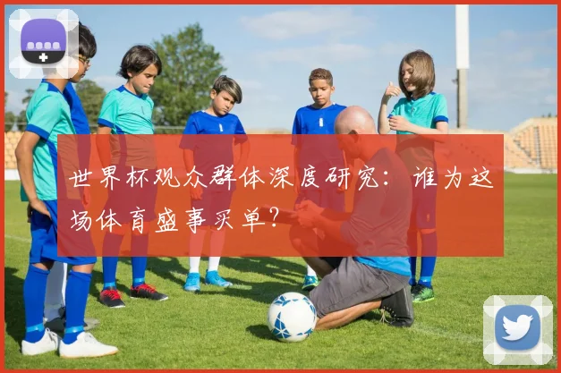 世界杯观众群体深度研究：谁为这场体育盛事买单？
