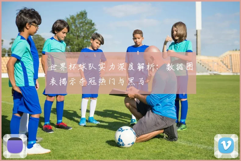 世界杯球队实力深度解析：数据图表揭示夺冠热门与黑马