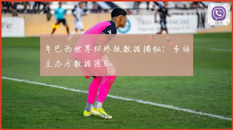 年巴西世界杯终极数据揭秘:专访主办方数据团队
